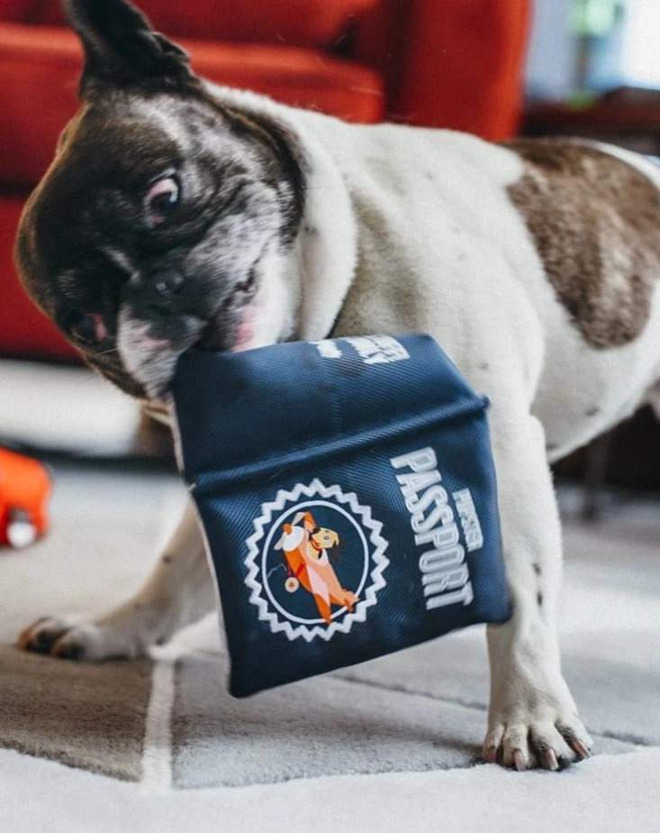 P.L.A.Y. Pupster Passport Crinkle Dog Toy - Image 2