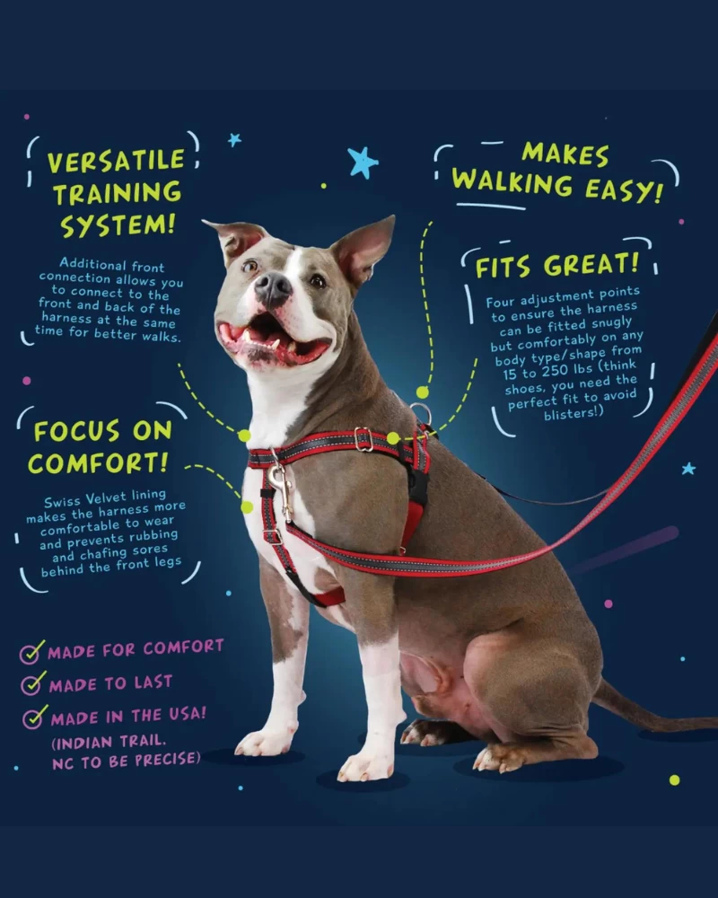 2 HOUNDS For DOG & CO. (Exclusive) Freedom No-Pull Harness In Neon Pink & Orange (Made In The USA) - Image 8