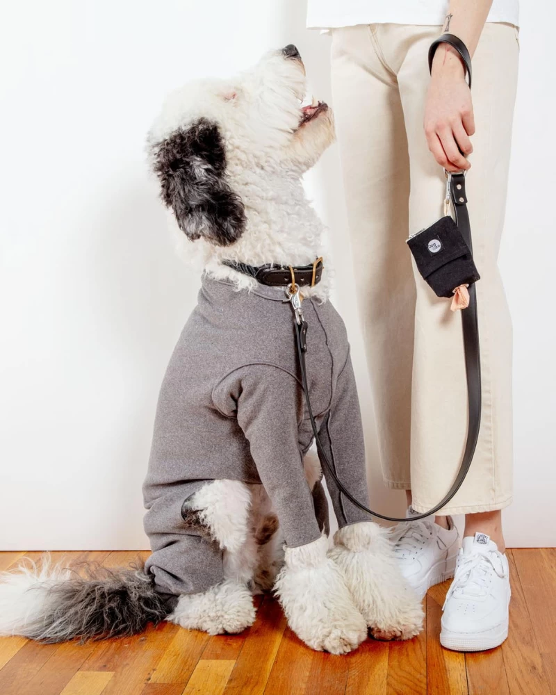 DOG & CO. COLLECTION Stretch Fleece Onesie In Charcoal (Made In The USA, DOG & CO. + GOLD PAW Exclusive!) - Image 2