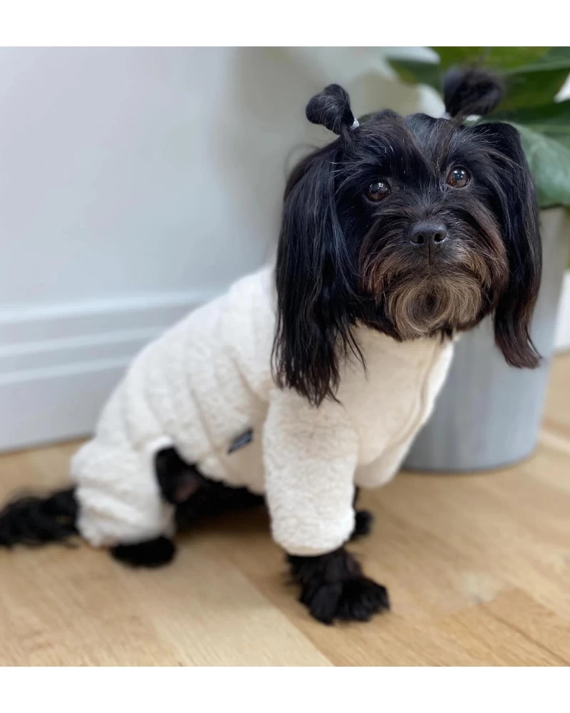 DENTISTS APPOINTMENT Boa Fleece Onesie In Cream (Dog & Co. Exclusive) - Image 5