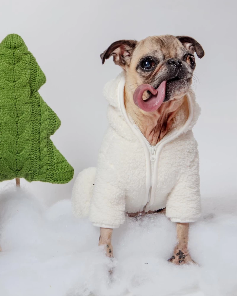 DENTISTS APPOINTMENT Boa Fleece Onesie In Cream (Dog & Co. Exclusive) - Image 7