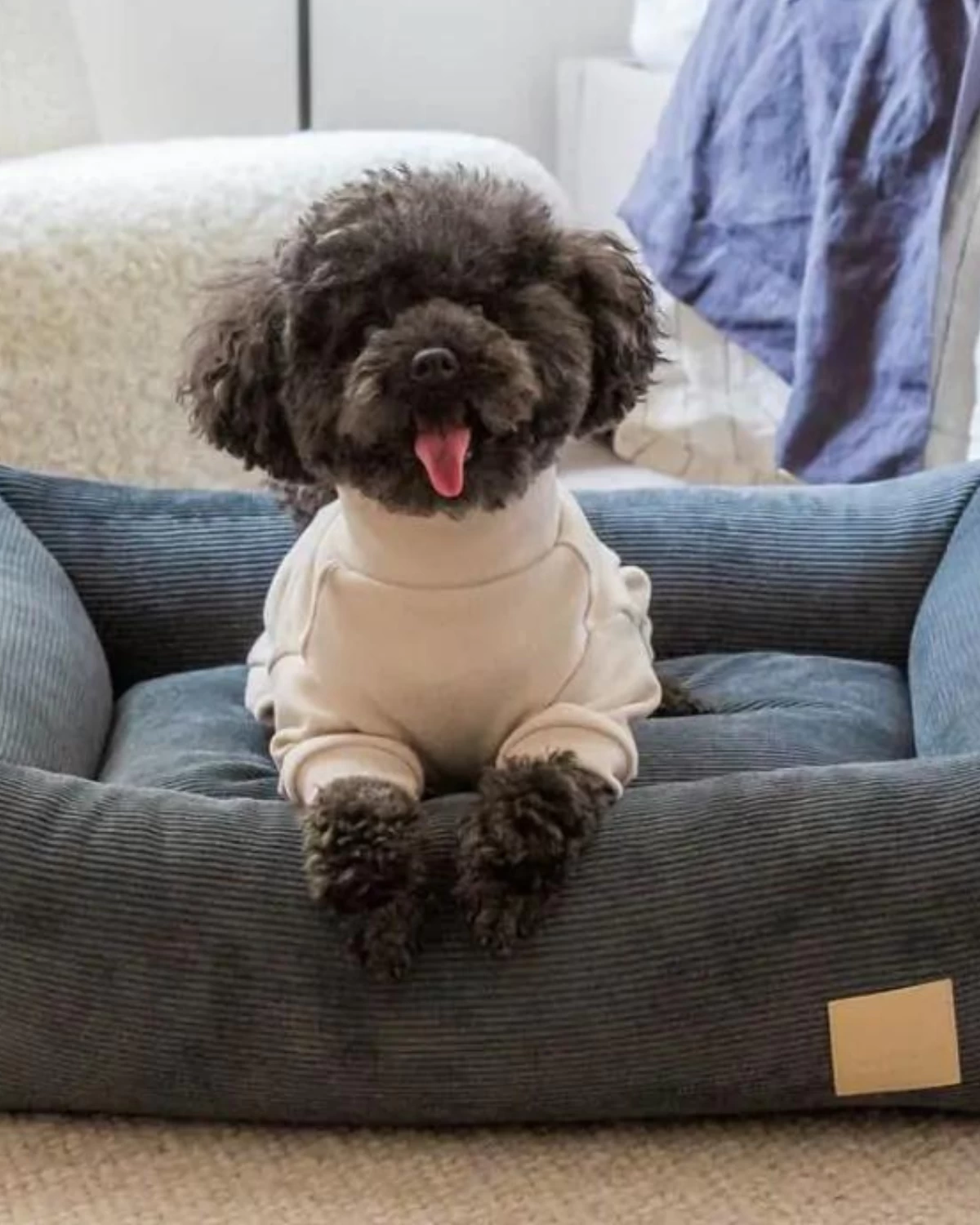 FUZZYARD Soft Touch Dog Onesie In Sandstone Or Myrtle Green (FINAL SALE)