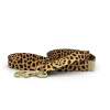 MAJOR DARLING Basic Nylon Dog Leash In Leopard (Made In The USA)