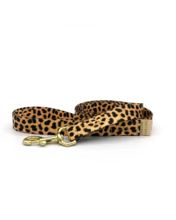 MAJOR DARLING Basic Nylon Dog Leash In Leopard (Made In The USA)