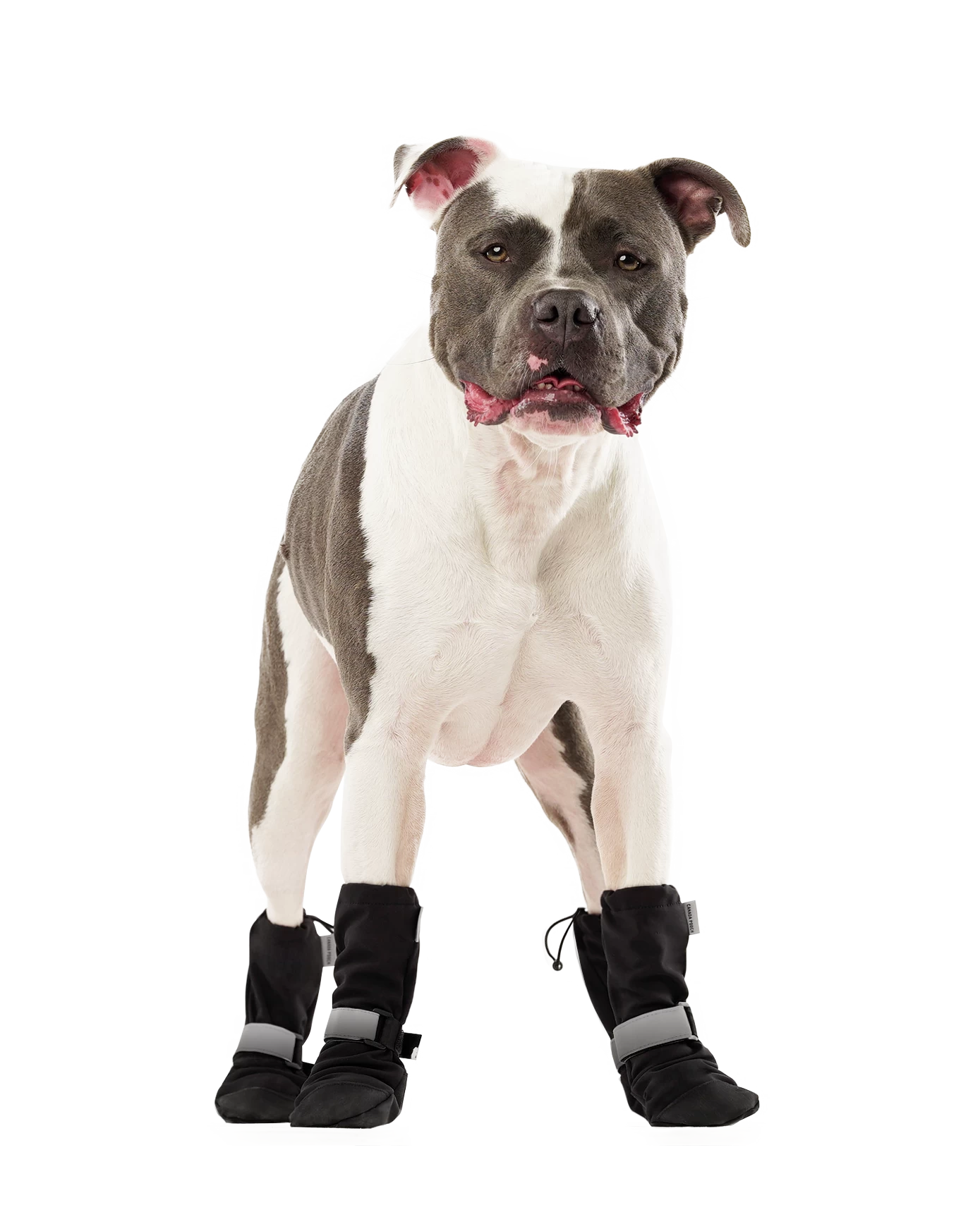 CANADA POOCH Soft Shield Dog Boots In Black - Image 3
