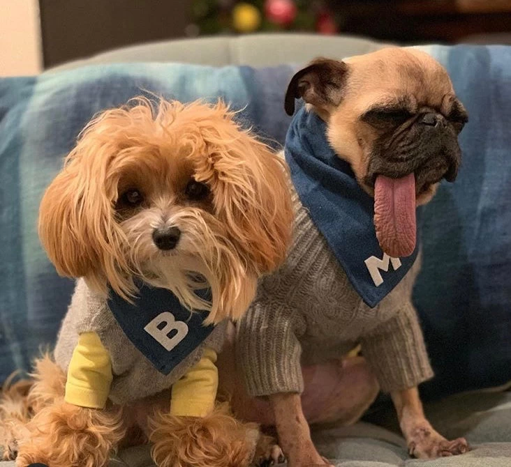 THRIFT DOG Custom Initial Bandana In Dark Denim (Drop-Ship) - Image 9