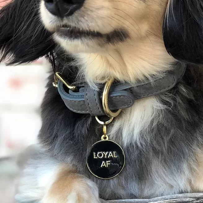 TWO TAILS PET COMPANY Loyal AF ID Tag (Custom/Drop-Ship) - Image 3