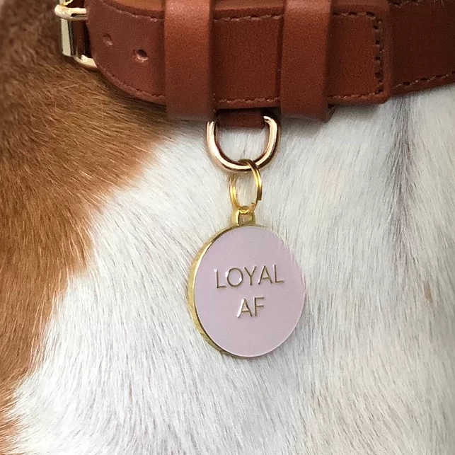 TWO TAILS PET COMPANY Loyal AF ID Tag (Custom/Drop-Ship) - Image 4