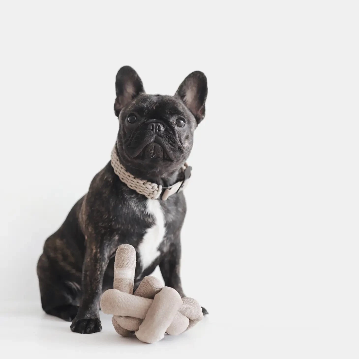 LAMBWOLF COLLECTIVE NouNou Interactive Crinkle Dog Toy In Tan - Image 4