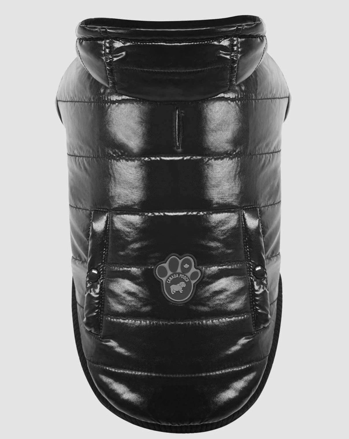 CANADA POOCH Shiny Puffer Dog Coat In Black (FINAL SALE) - Image 2