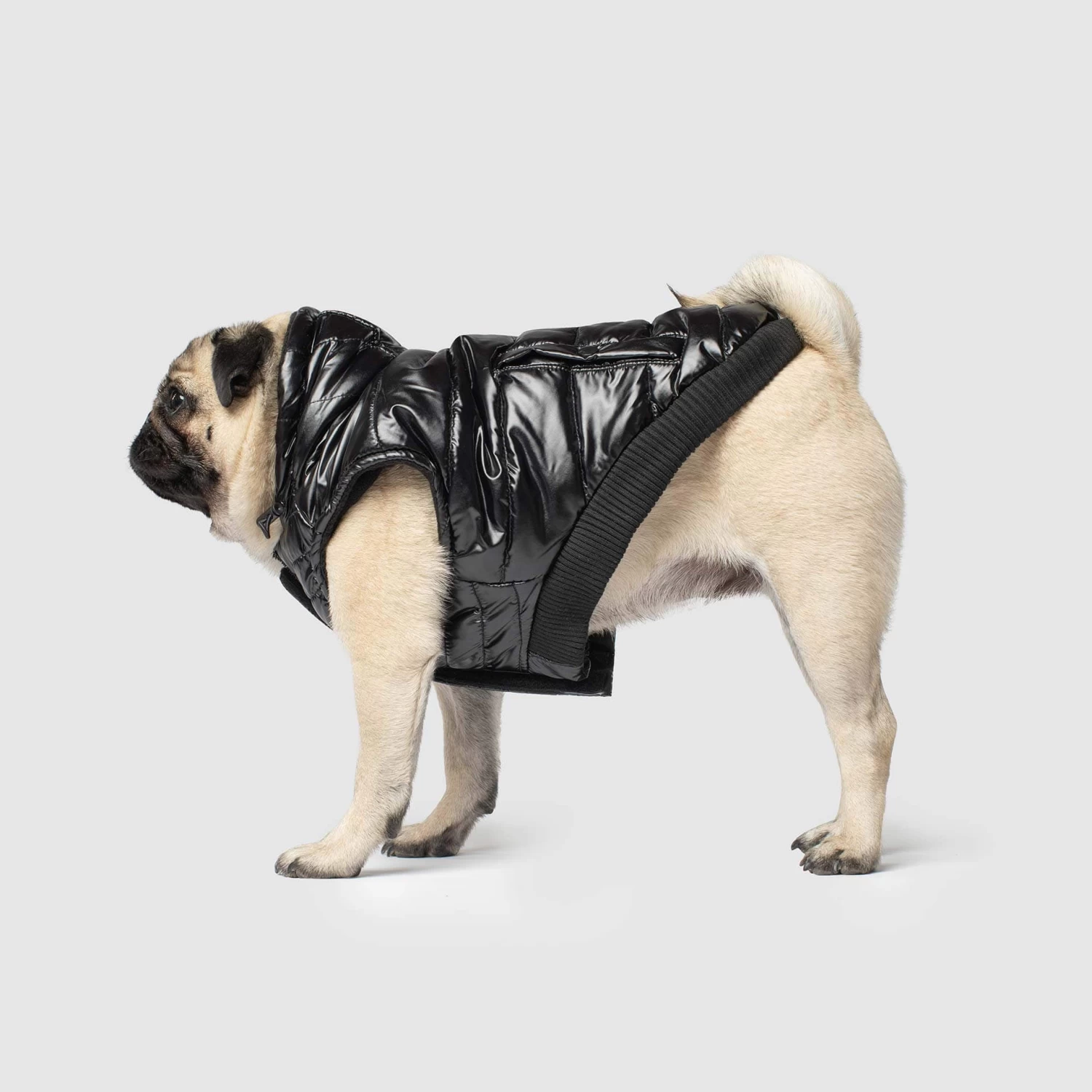 CANADA POOCH Shiny Puffer Dog Coat In Black (FINAL SALE) - Image 5