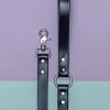 DOG & CO. COLLECTION City Leash In Basic Black (Made In The USA)