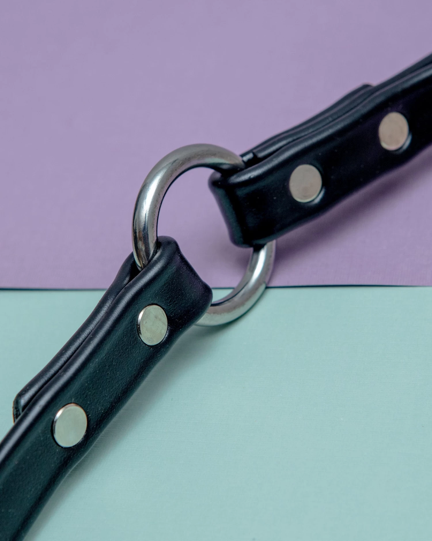 DOG & CO. COLLECTION City Leash In Basic Black (Made In The USA) - Image 9