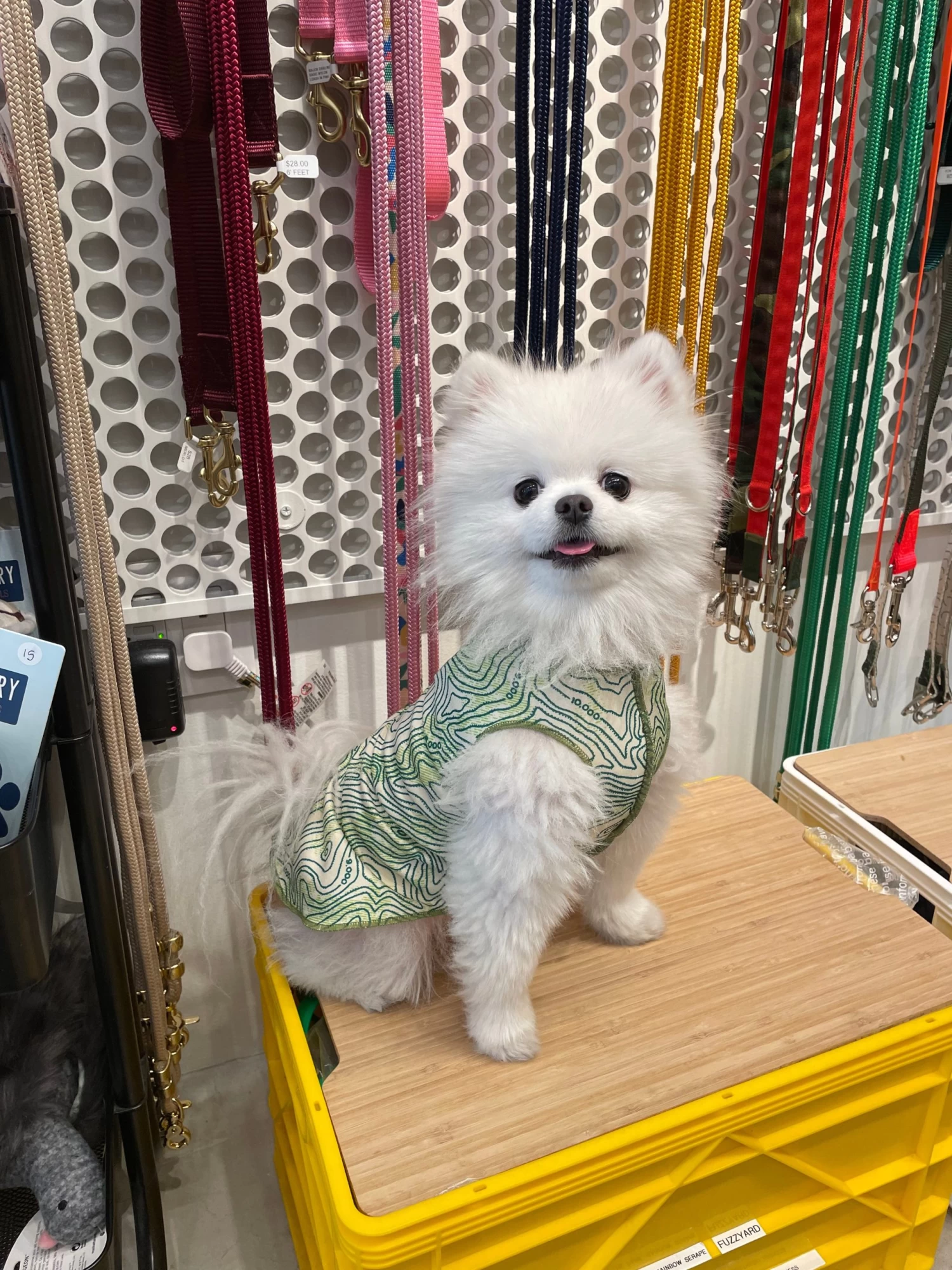 GOLD PAW Sun Shield Tee In Grand Teton Green (Made In The USA) - Image 10