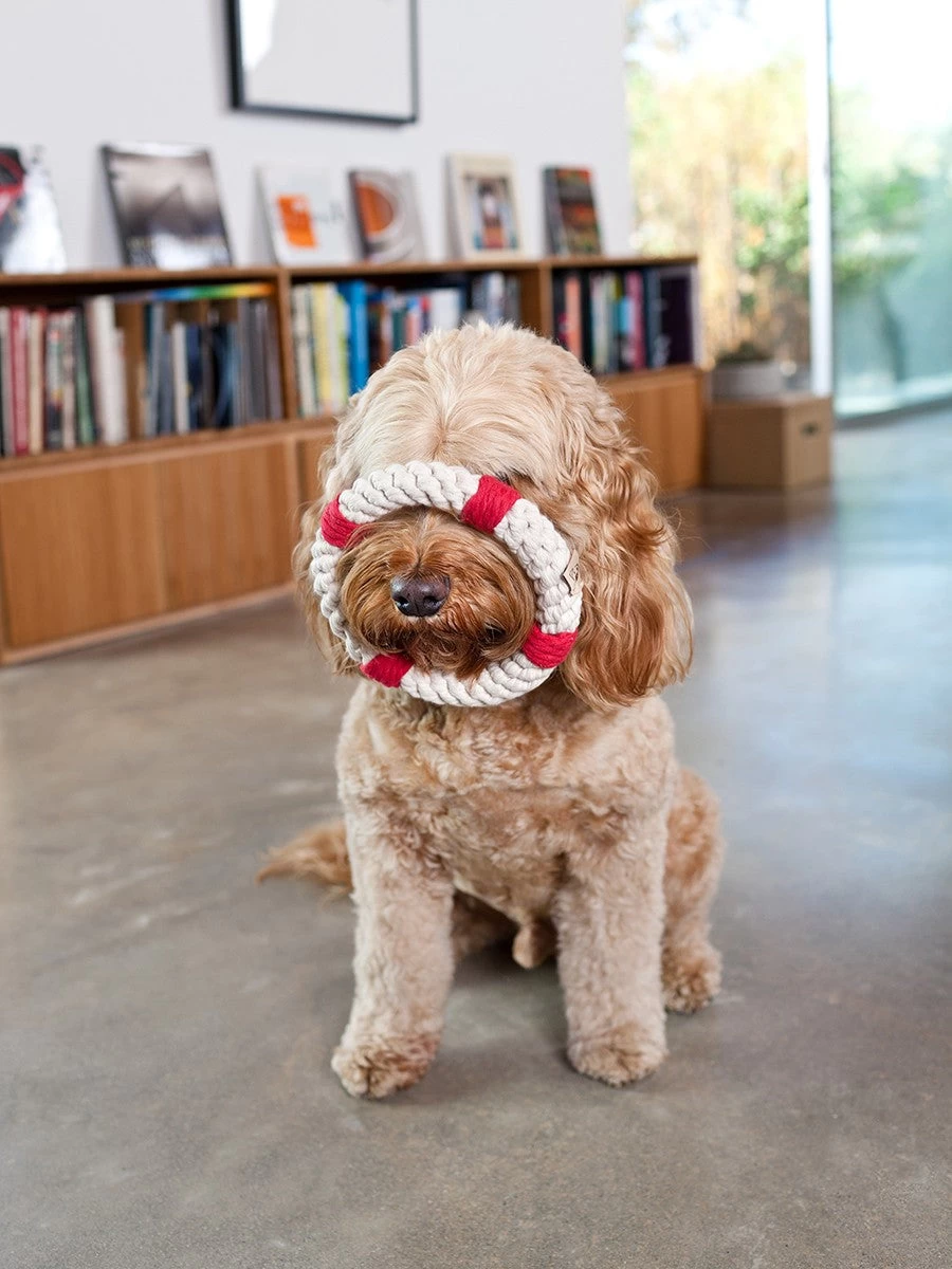 JAX & BONES Lifesaver Rope Dog Toy - Image 5