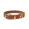 MOLLY & STITCH Butter Leather Dog Collar In Sahara Cognac (Made In Austria)